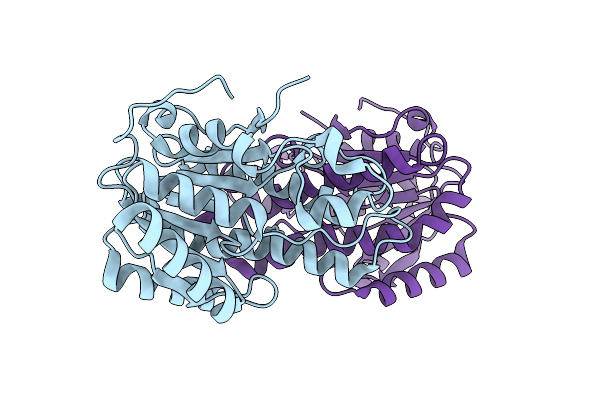 3F1L image