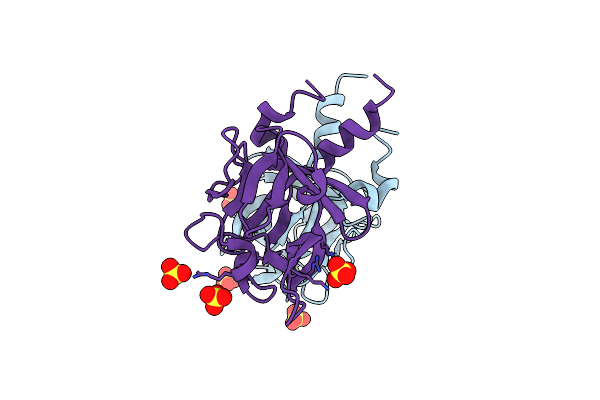 3F1R image