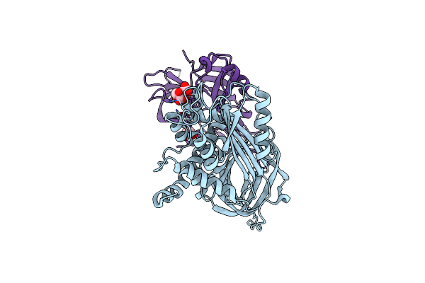 3F1S image