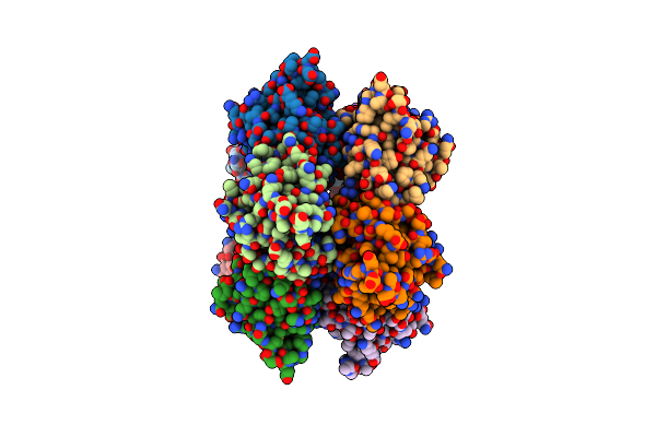 3F1Z image