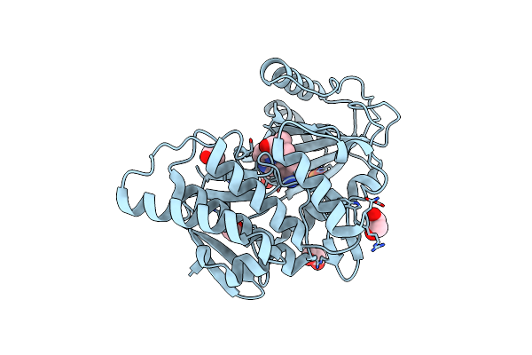 3F2N image