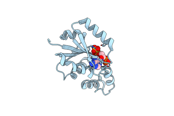 3F3M image