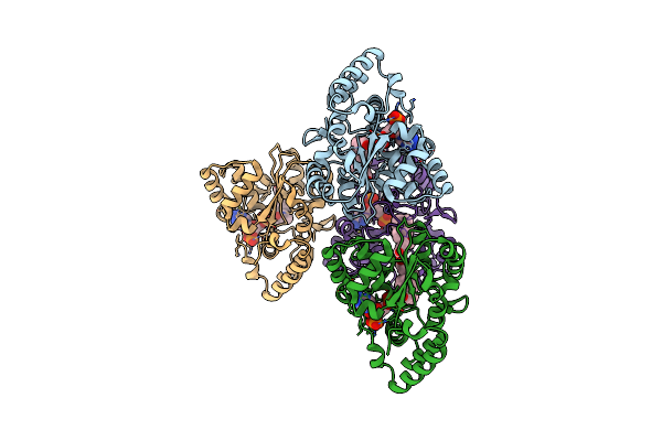 3F3Y image