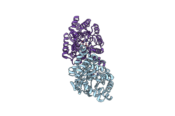 3F4D image