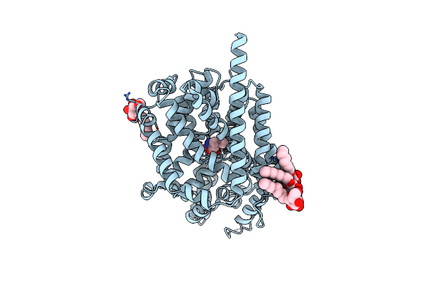 3F4I image