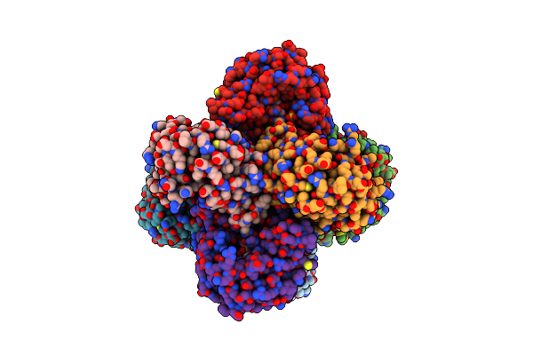3F4N image