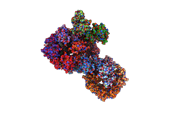 3F5P image