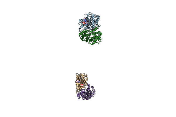 3F5X image