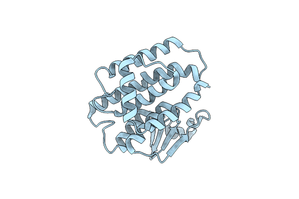 3F6F image