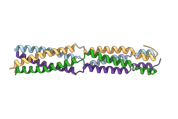 3F6N image