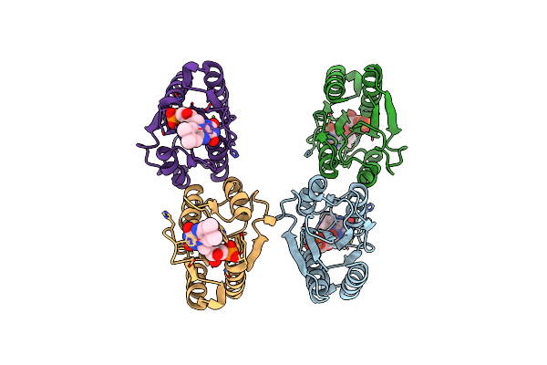 3F6R image