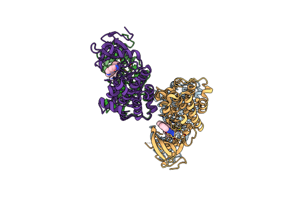 3F6X image