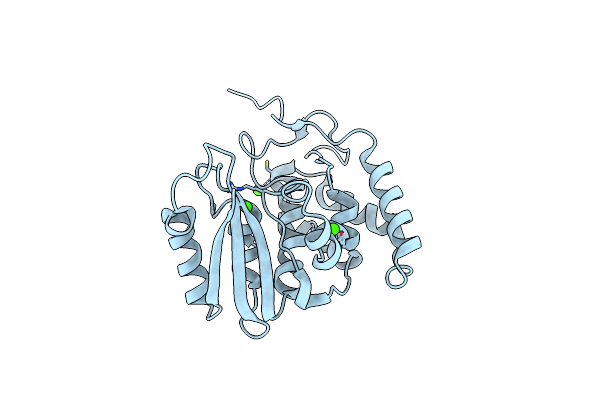 3F6Y image