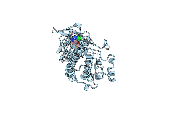 3F82 image