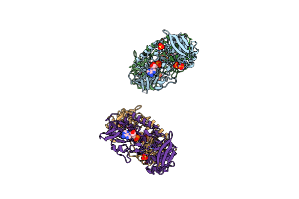 3F8P image