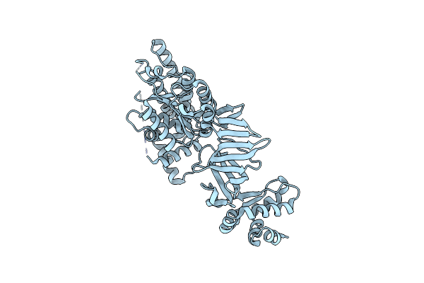 3F8T image