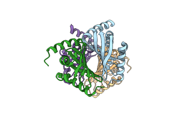 3F8X image