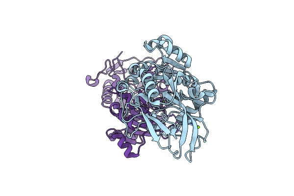 3FBG image
