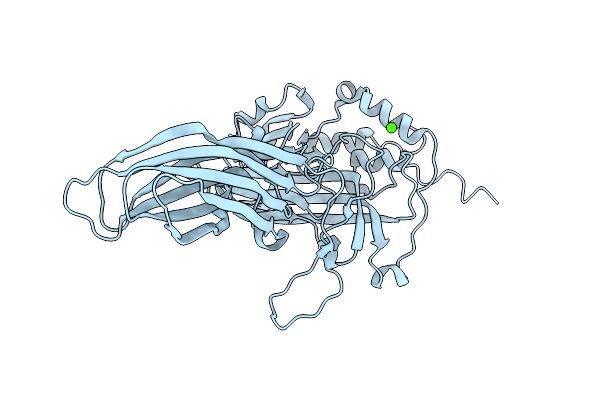 3FBM image
