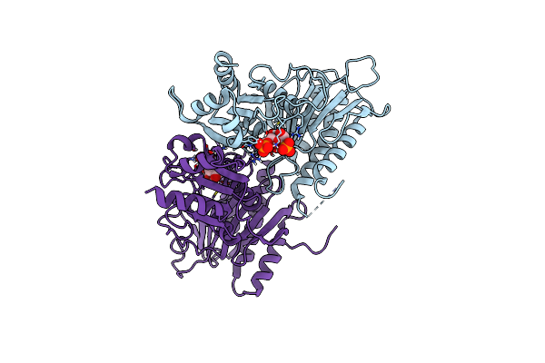 3FBP image