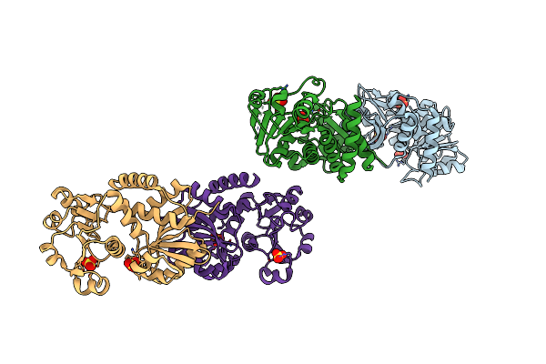 3FBT image
