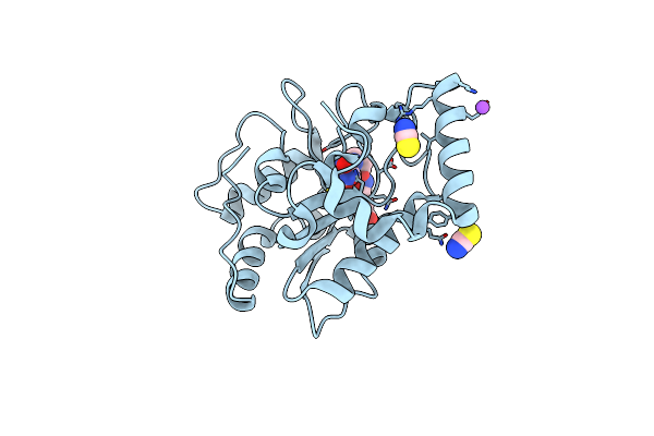 3FCI image