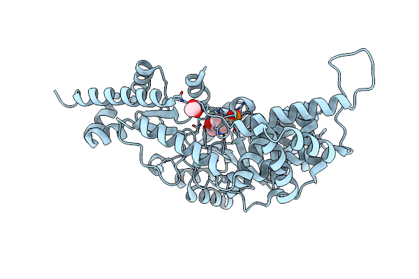 3FDD image