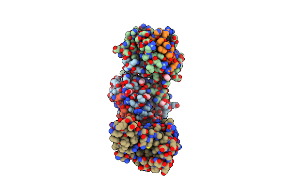 3FDM image
