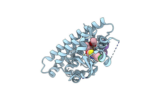 3FEI image