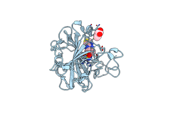 3FFP image