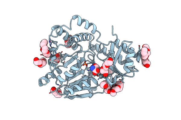 3FFR image
