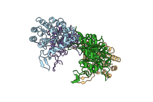 3FFS image