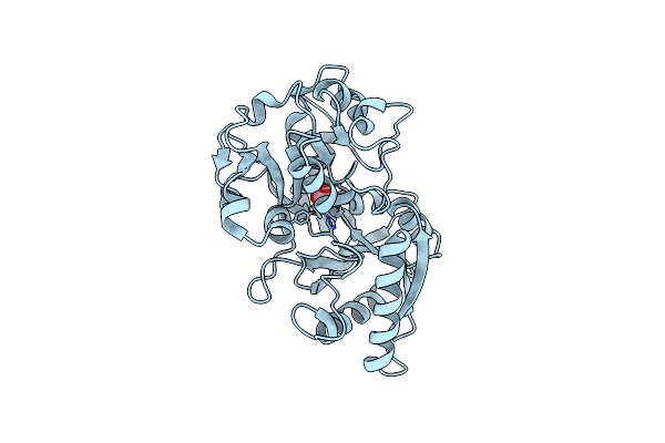 3FGS image