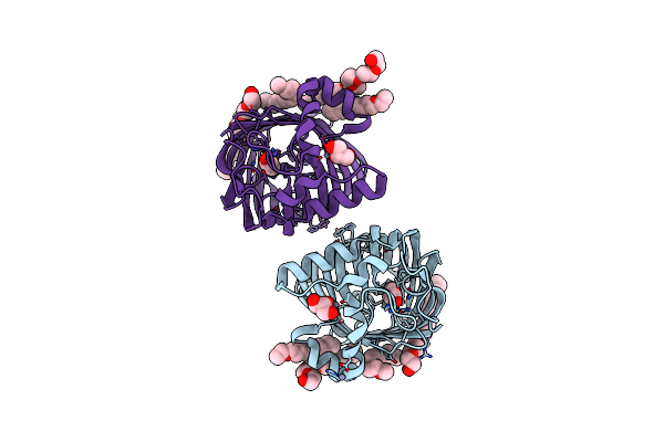 3FID image