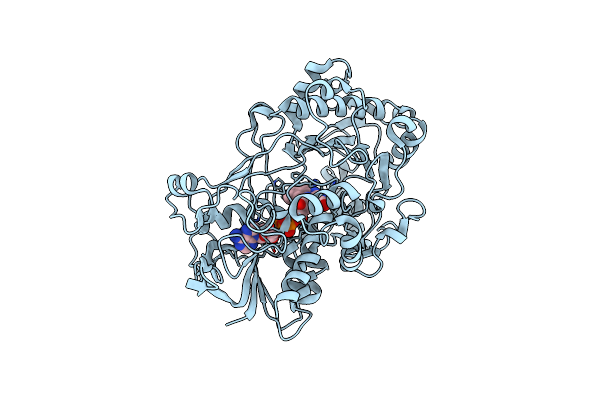 3FIM image