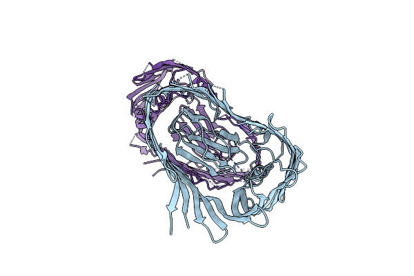 3FIP image