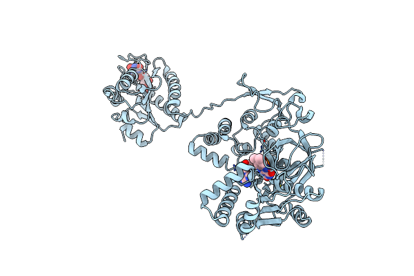 3FJO image