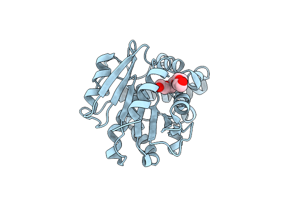 3FLB image