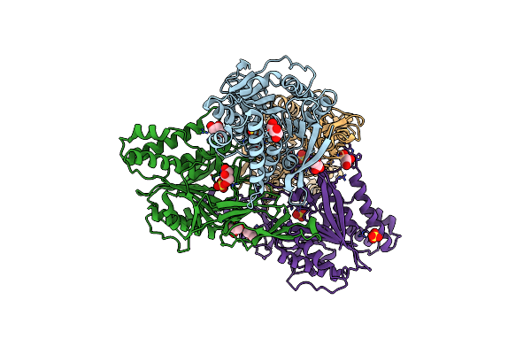 3FMC image