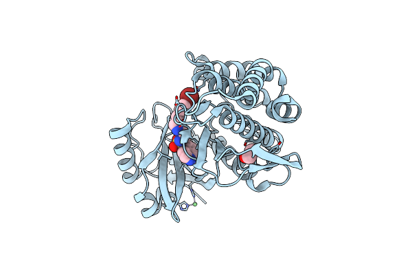 3FMD image