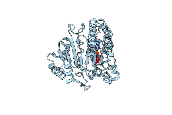 3FMX image