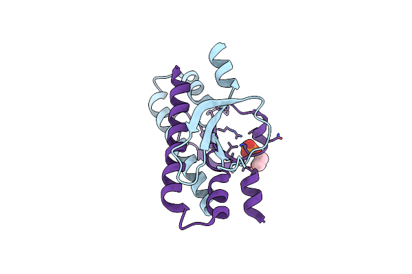 3FN2 image