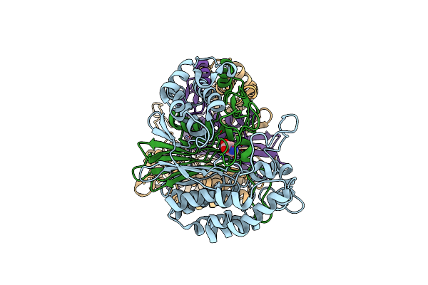 3FNM image