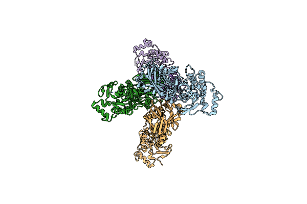 3FOA image