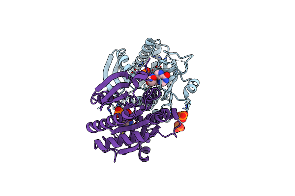 3FOW image