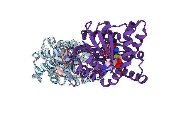 3FPF image