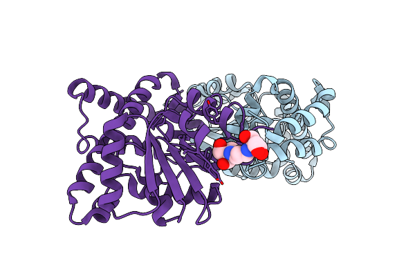 3FPG image