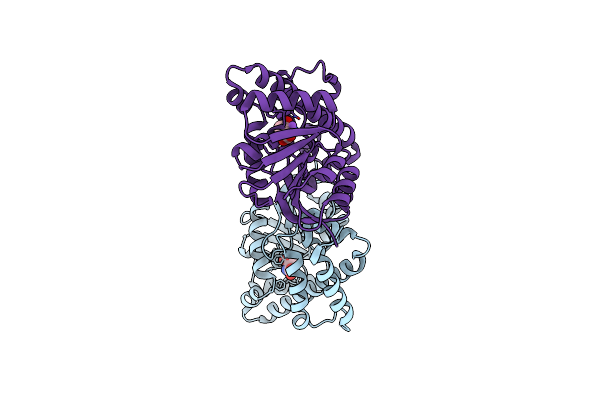 3FPH image