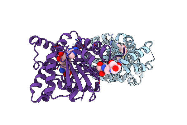 3FPJ image