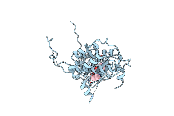 3FPM image